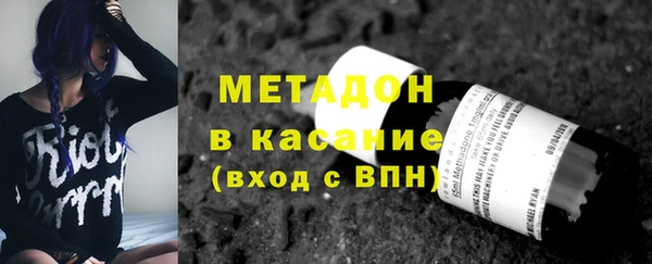 прущие грибы Медногорск