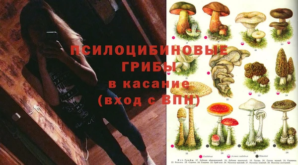 ешки Михайлов
