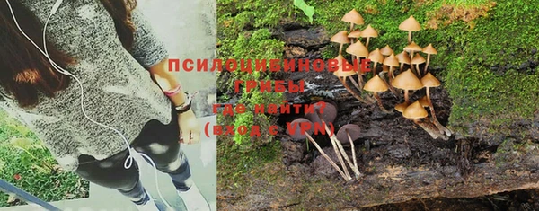 дурь Михайловка