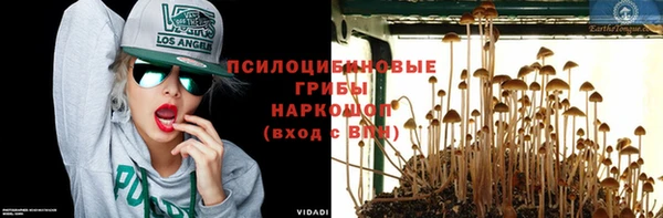 MDMA Михайловск