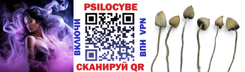 KRAKEN онион  Долгопрудный  Псилоцибиновые грибы MAGIC MUSHROOMS 